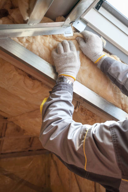 Best Soundproof Insulation Installation  in Bradley, WV