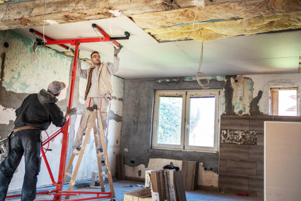 Best Insulation Contractors for Homes  in Bradley, WV