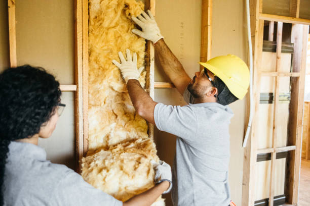 Best Residential Insulation Services  in Bradley, WV