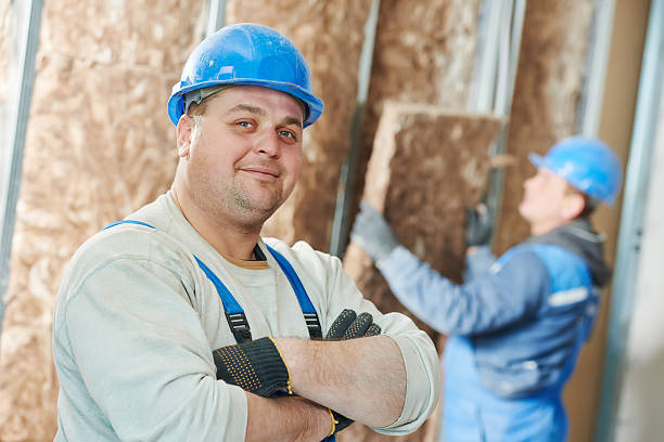 Best Insulation Removal  in Bradley, WV
