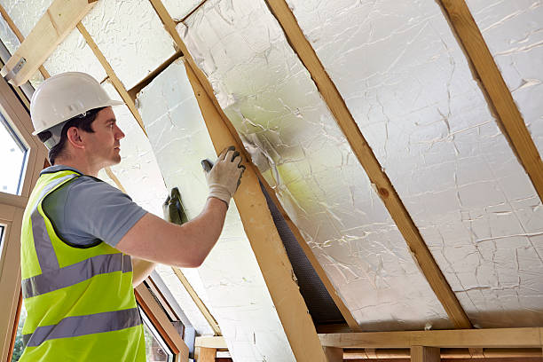 Best Crawl Space Insulation  in Bradley, WV
